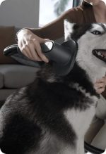 Xiaomi Vacuum Cleaner G20 Max